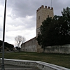 Pisa