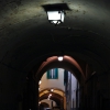 Pisa