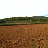 Famous Terra di Siena