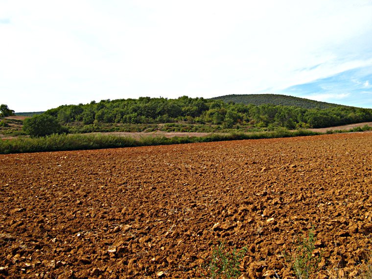 Famous Terra di Siena