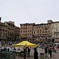 Siena