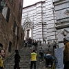 siena42