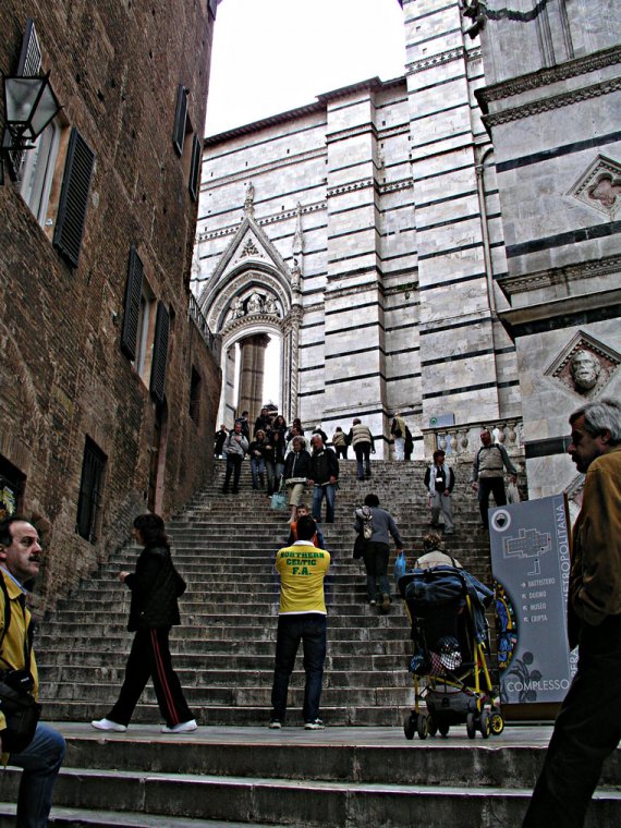 siena42