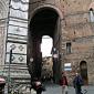siena44