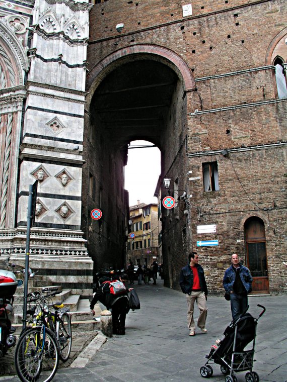 siena44