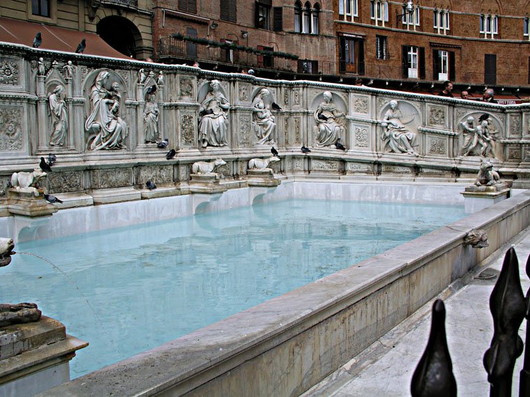 siena45