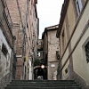 siena47