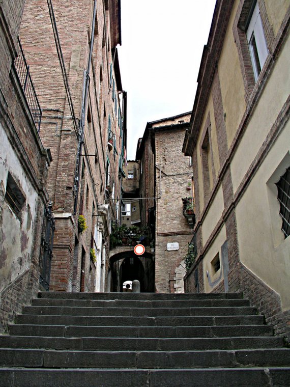 siena47
