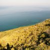 View of the Sea from Uccellina