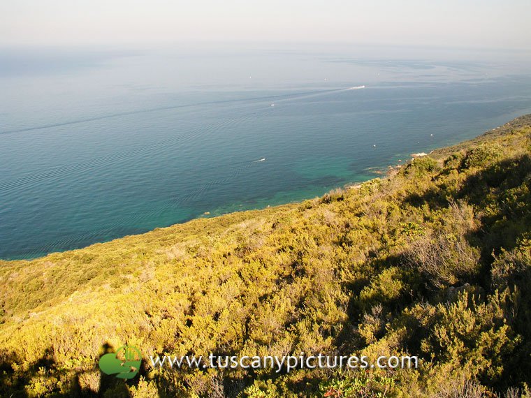 View of the Sea from Uccellina