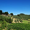 Barberino Val d'Elsa