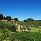 Barberino Val d'Elsa