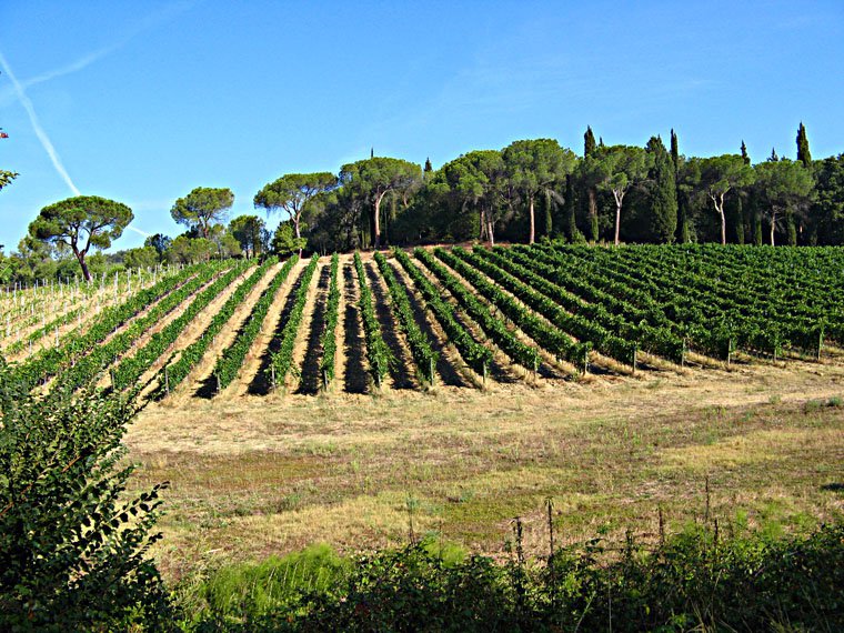 Castelfiorentino