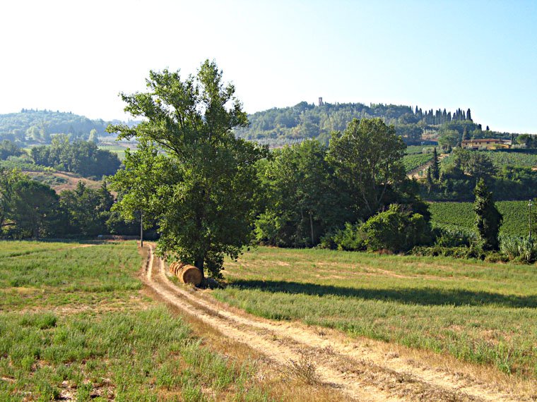 Castelfiorentino