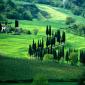 Chianti near Florence