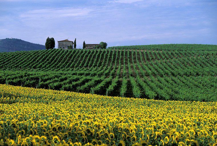 Chianti near Cerbaia Val di Pesa