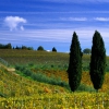 Panzano in Chianti