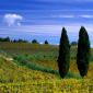 Panzano in Chianti