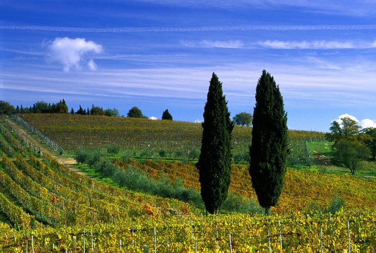 Panzano in Chianti