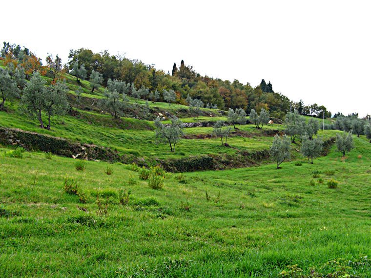 Fiesole, Montececeri, Pratone