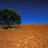 Maremma - Valle Maggiore