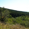 Monte Falterona