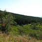 Monte Falterona