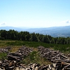 Monte Falterona