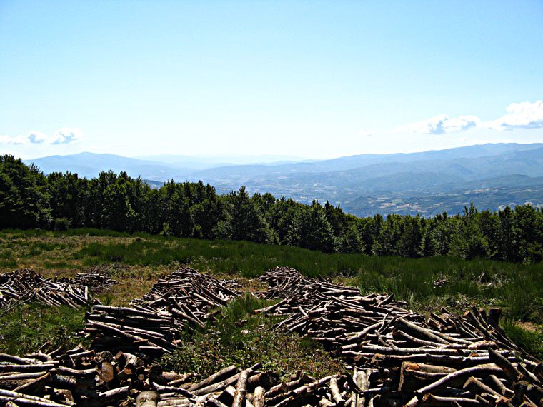 Monte Falterona