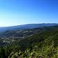 Monte Falterona