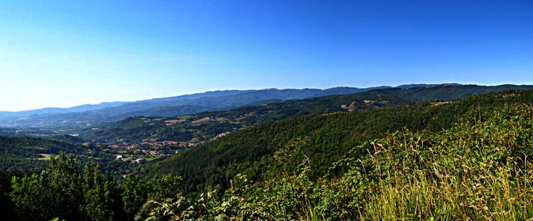 Monte Falterona