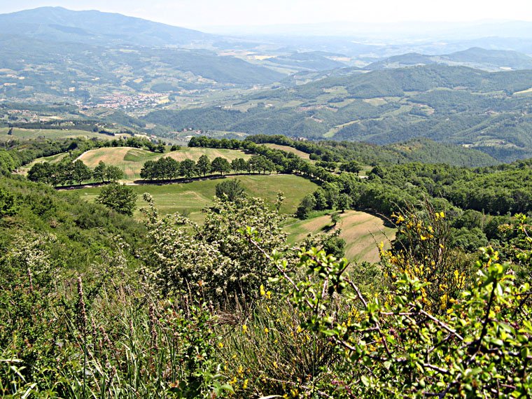 Monte Giovi