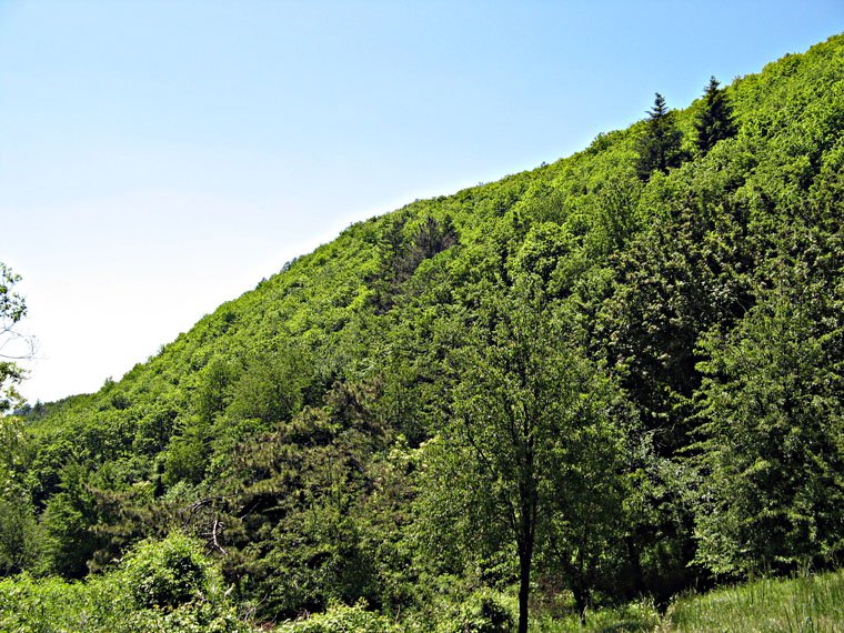 Monte Giovi