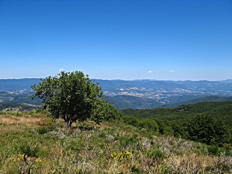Monte Secchieta