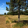 Montefiesole