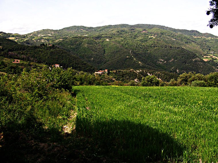 Montefiesole