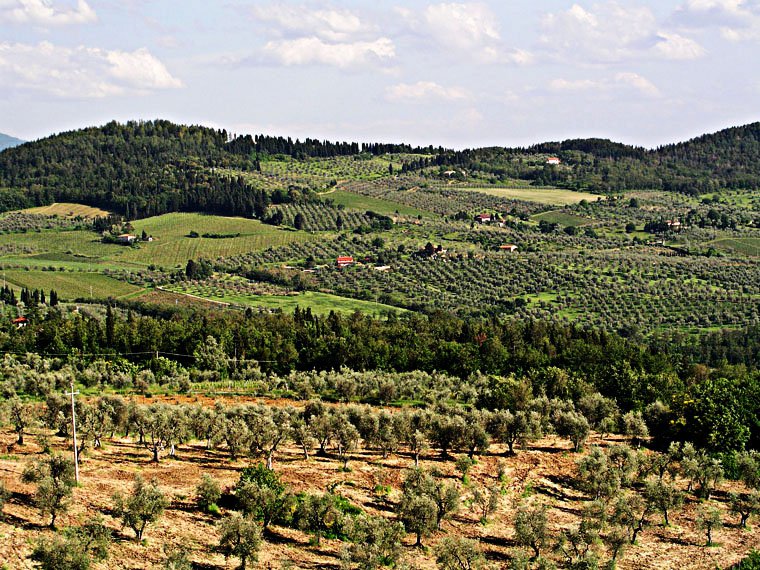 Montefiesole