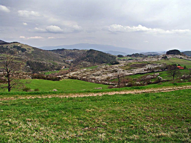 Montesenario