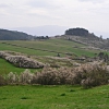 Montesenario