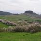 Montesenario