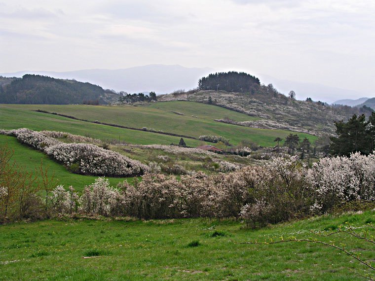Montesenario