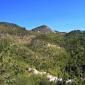 Muraglione