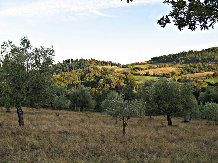 Trebbio