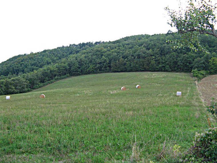 Trebbio