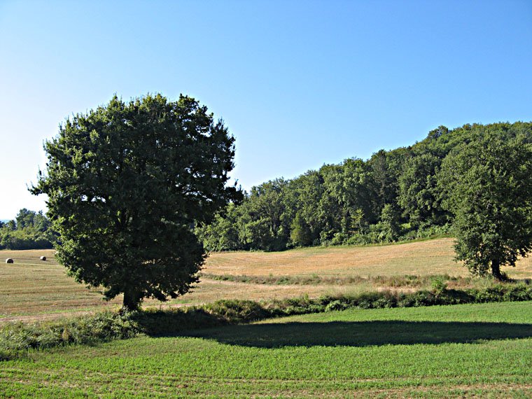 Passo della Colla