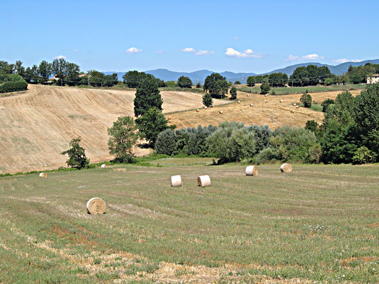 Colla Pass