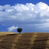 Val d'Orcia