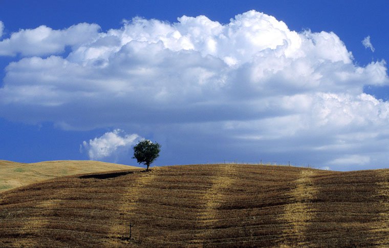 Val d'Orcia