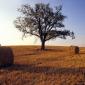 Val d'Orcia