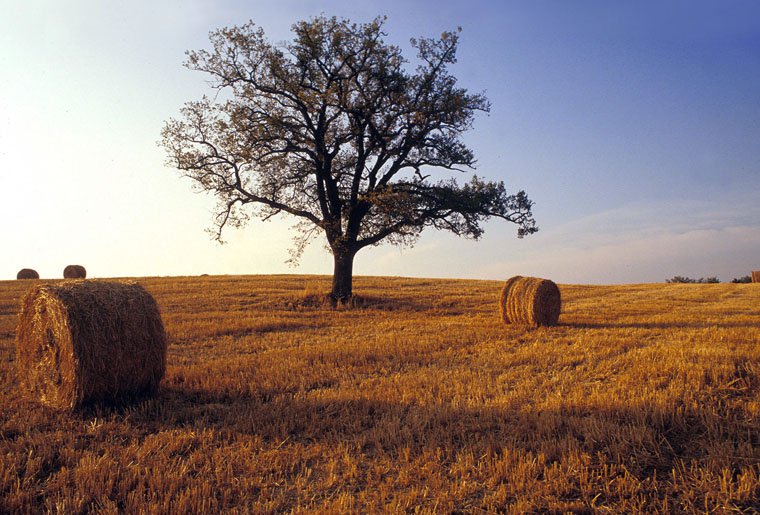 Val d'Orcia